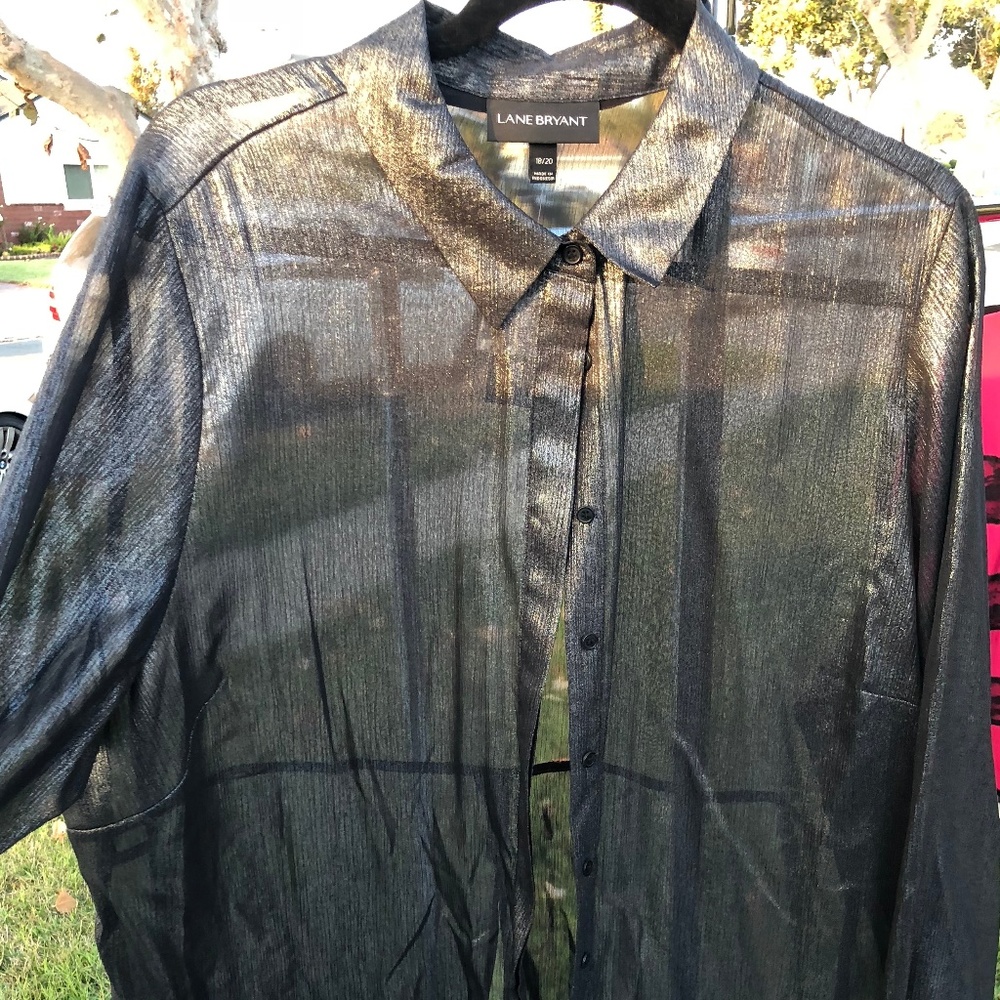 Sheer Blouse with Shimmer